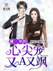 小說女主樊梨梨的小說